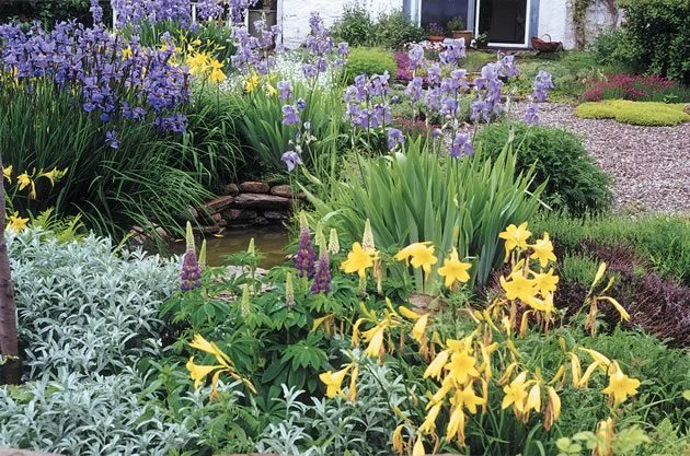 A choir of irises, germanica and sibirica, surround a small pool, complemented by lupins, day lilies and grey-leafed artemisia. Photos by Malcolm Batty.