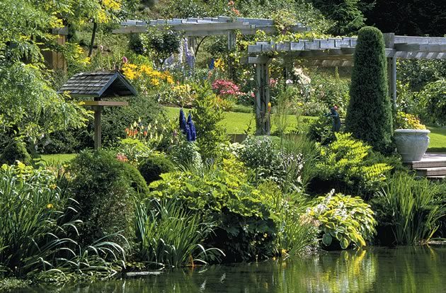 Matching pergolas create an orderly flow between house and pond, where a regal Juniper Medora anchors to the pond’s edge, lush with Beardless Iris (Iris pseudacorus), the huge leaves of umbrella plant (Darmera peltata), hosta “Frances Williams,’ and Solomon’s seal (Polygonatum x Hybridum). Photos by Brock May.