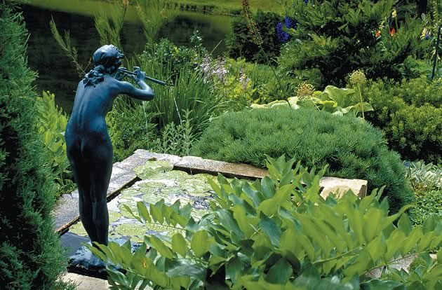Water lilies glisten in a raised pool, nestled between Solomon’s seal and the round mound of a dwarf globe Scot’s pine (Pinus sylvestris glauca ‘Nana’). Photos by Brock May.