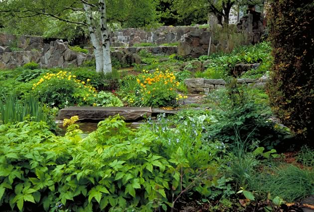 Yellow and orange globe flowers (Trollius) cheerfully drop their petals among the stone paths. Photo by Rosemary Hasner / Black Dog Creative Arts.