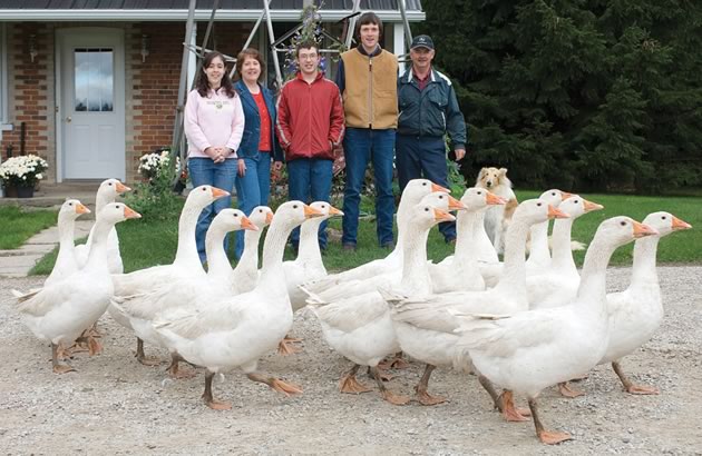 The Masters: Cynthia, Wendy, Nathan, James and Bill – and the geese in happy pre-freezer days.