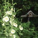 Hollyhocks dance in the foreground of a birdhouse designed by Keith, who notes wryly, “Last year’s occupants were bumblebees, I think.” Photo by Pete Paterson.