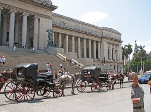 Also horses, such as those (below) outside the capital building in Havana, have been put back into service as a common means of transportation in Cuba.