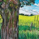 Hallie Watson - Canola Field Maple Tree, 27.5" x 19.5"