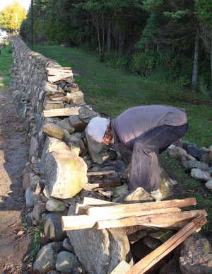 Restoring the wall required painstaking skill and labour by stone mason Mike Schenk over the past two summers. He used cedar shims as ties. Photo by Rosemary Hasner.