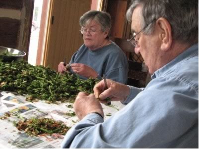 This time together is a great time for my parents to teach their grandchildren the lost art of collecting local edibles and preserving for the future.