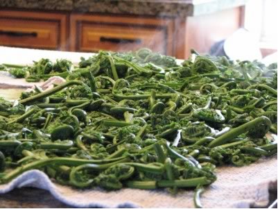 Blanching Fiddle Heads