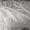 Photograph of frost that the five artists used as inspiration for their “5 by 5” show.