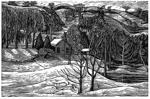 At the Dingle Schoolhouse, in the shelter of the escarpment, wood engraver Rosemary Kilbourn has found a lifetime of inspiration.