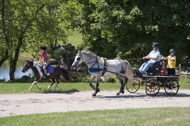 carriagedriving_1181 Kirsten Brunner’s daughter Kilby and her pony Starlight ride along while friends Tommy and Tara catch a ride with Kirsten and Raindrop at the scenic grounds of the Tralee Wedding Facility in Caledon. Photo by Pete Paterson