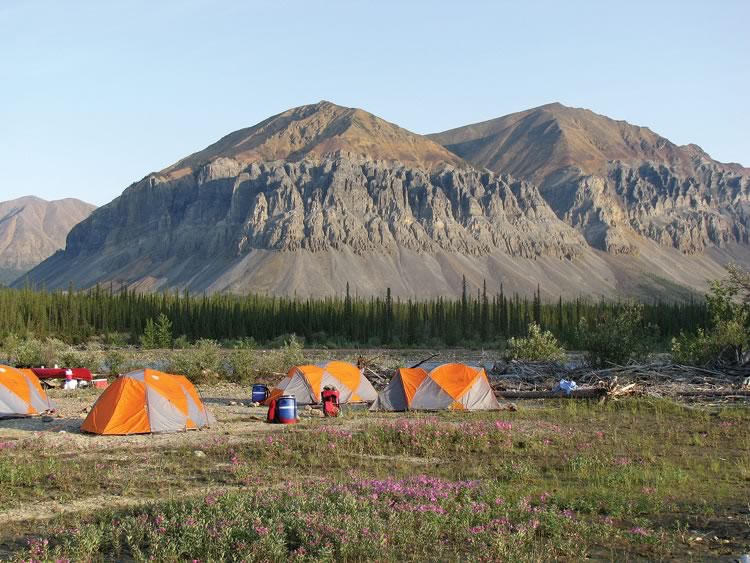 Fireweed Campsite below massive Fortress Mountain, high in the Mackenzie Mountains, nwt.