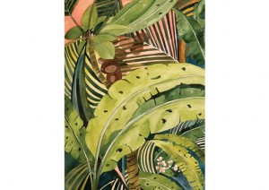 Susan Powell ~ Sunrise Palms at La Leona, Costa Rica