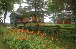 Orange day lilies bloom as they always have outside SS#1 Stanton, now a private home. Photo by Rosemary Hasner / Black Dog Creative Arts.