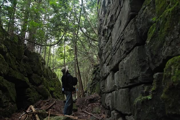The moss-covered stonewall corridor