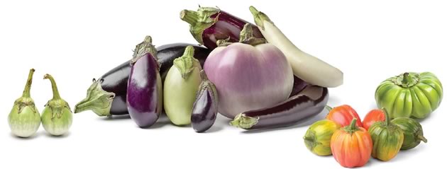 Not all eggplant are created purple. From left to right: Thai eggplants (green), Italian and Sicilian (purple, white), Chinese (long, thin), Turkish and Ethiopian (scarlet, green).