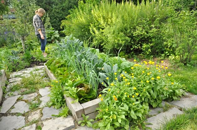 Sara Hershoff in her garden. “You grow food,” she says. “It’s never occurred to me not to.”