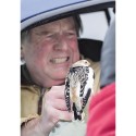 Two hardy creatures - snow bunting and David Lamble. Photo by Fiona Reid.