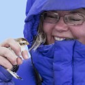 Snow bunting admirer. Photo by Fiona Reid.