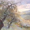 Linda Jenetti ~ Olive Trees 48 x 60" oil on canvas