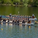 Two dragon boat crews battle it out at a recent regatta at Heart Lake Conservation area. Photo by Pete Paterson.