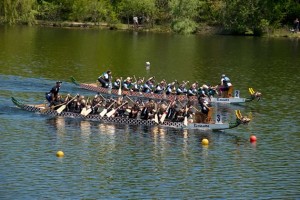 Two dragon boat crews battle it out at a recent regatta at Heart Lake Conservation area. Photo by Pete Paterson.