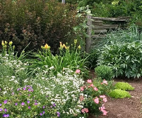 Spring garden clean up