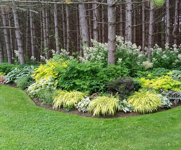Spectacular Plant Combinations for the Perennial Garden from Plant Paradise Country Gardens in Caledon. Photo by Joanne Garnett.