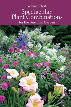 Spectacular Plant Combinations for the Perennial Garden