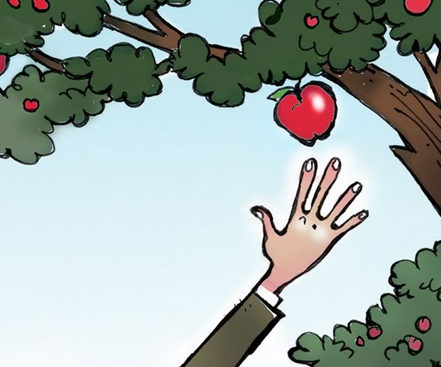 Who has not plucked an apple from a hedgerow? Just one bite, and if it is not sweet enough… a few more strides and you may have an array of alternatives. Illustration by Anthony Jenkins.