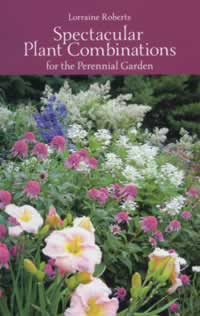 Spectacular Plant Combinations for the Perennial Garden
