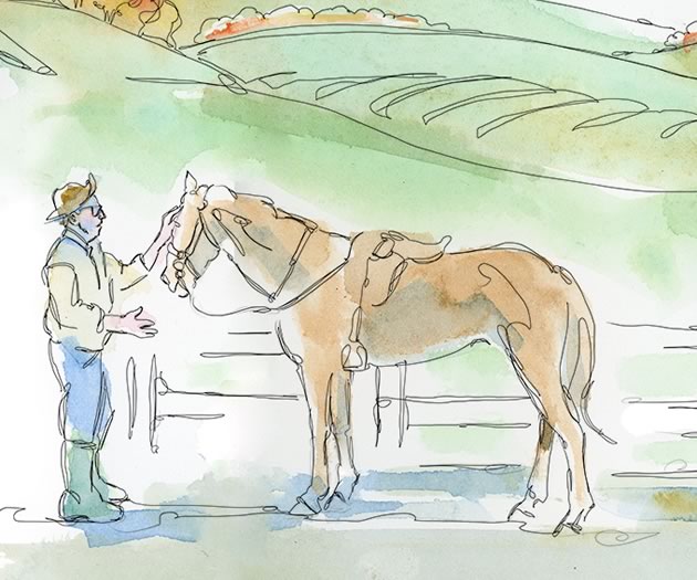 Admit there’s a problem. You bought the horse years ago for a ten-year-old daughter who swore she would brush it every day and lavish it with affection. That was before she discovered boys, clothes, makeup and Facebook. Illustration by Shelagh Armstrong.