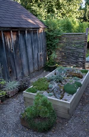 One of Liz Knowles’ tufa beds, in which she grows some of her favourite alpine plants. Photo by Rosemary Hasner / Black Dog Creative Arts.