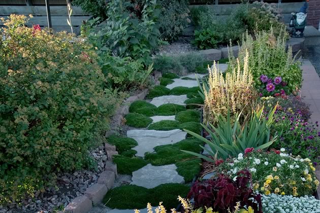 Wayne and Ella Livingston replaced a scratchy patch of grass in their small front yard with an inviting mossy stone path and flower garden. Photo by Rosemary Hasner / Black Dog Creative Arts.