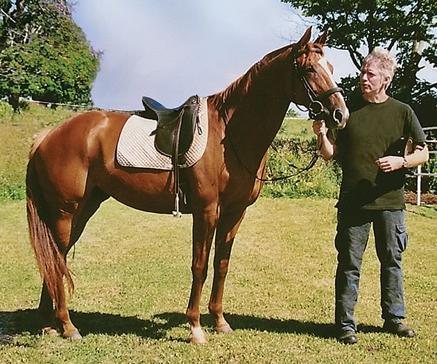 How a Horse Helped Mend a Broken Heart - In The Hills