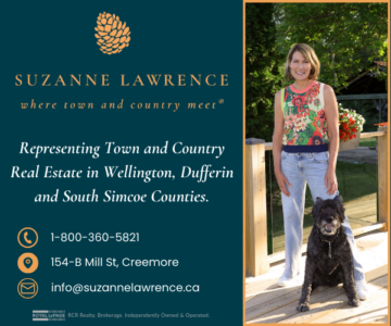 Suzanne Lawrence Real Estate