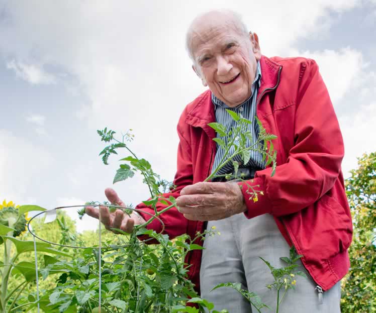 Russ Brown, 99, planted a healthy crop of tomatoes this year. The Bugs Bunny sign designating “Farmer Brown’s Tomato Patch” was made by his friend Bob Pillar. Photo by Pete Paterson.