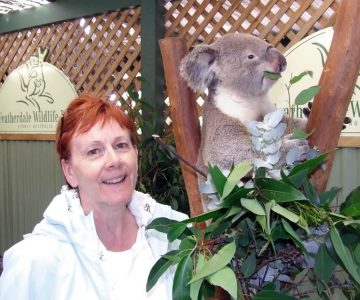 On her first solo trip, Barbara McKenzie had the pleasure of feeding a koala at the Sydney Zoo in Australia.