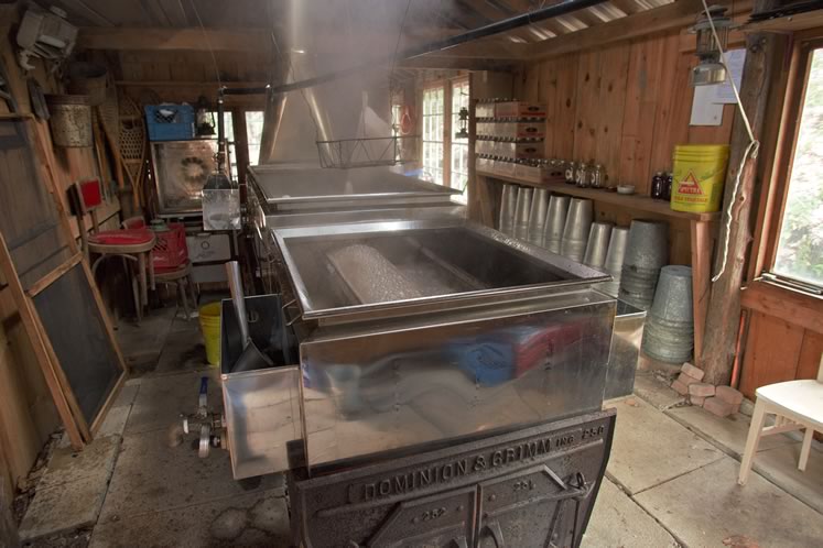 Somewhere between the two extremes of the neighbourhood harvest on Zina Street and Breedons’ large operation is the sugaring off that takes place in the maple bush behind Pete Paterson’s place in Caledon. Photo by Pete Paterson.