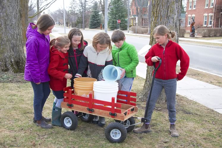 The Zina Street Maple Syrup Gang: Tessa, Poppy, Isabel, Hazel, Hugh and Ellie are among the Orangeville kids who collected syrup from the town’s venerable old sugar maples last spring. Photo by Pete Paterson.