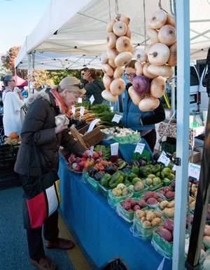 Shoppers find superb local produce on Saturdays at Orangeville Farmers’ Market. Photo by Rosemary Hasner / Black Dog Creative Arts.