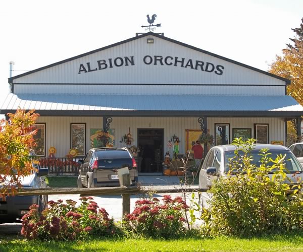 Albion Orchards