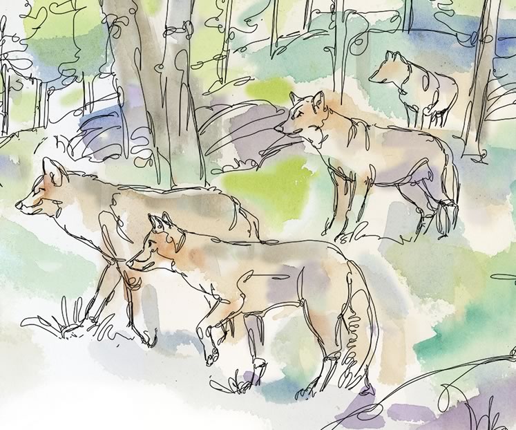 Varmints at the Gate. Illustration by Shelagh Armstrong.