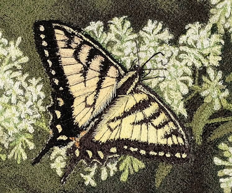 Tiger Swallowtail 8" x 10" ~ by Tracey Lawko