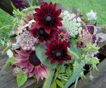 An autumn market bouquet includes zinnias, coneflowers, Queen Anne’s Lace, dusty miller and a pink sunflower, along with other delights. Photo by Rosemary Hasner / Black Dog Creative Arts.