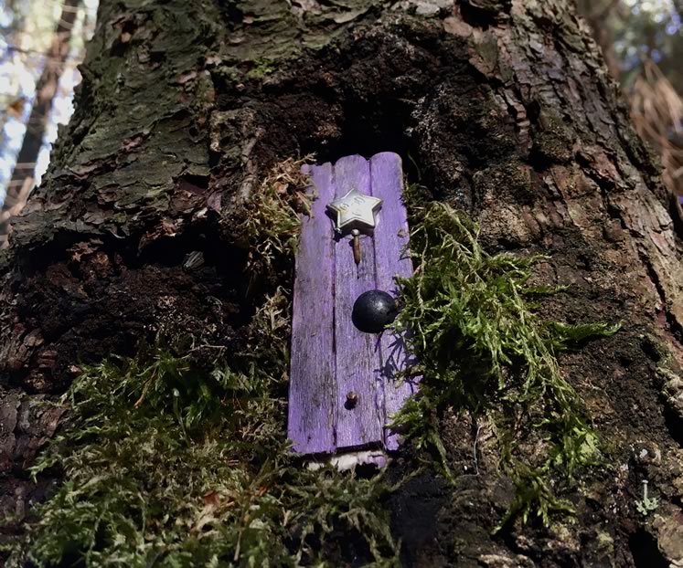 Keen eyes can spot a variety of fairy abodes secreted along the pathways in Palgrave and Dufferin Forests. Photo by Rosemary Hasner / Black Dog Creative Arts.