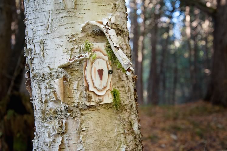 Keen eyes can spot a variety of fairy abodes secreted along the pathways in Palgrave and Dufferin Forests. Photo by Rosemary Hasner / Black Dog Creative Arts.