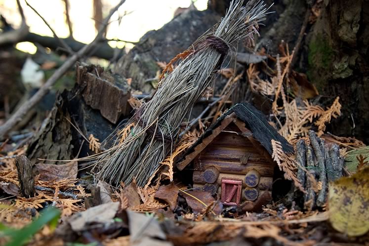 Just when we could use a dose of whimsy, magical miniature abodes have sprung up in local forests. Photo by Rosemary Hasner / Black Dog Creative Arts.
