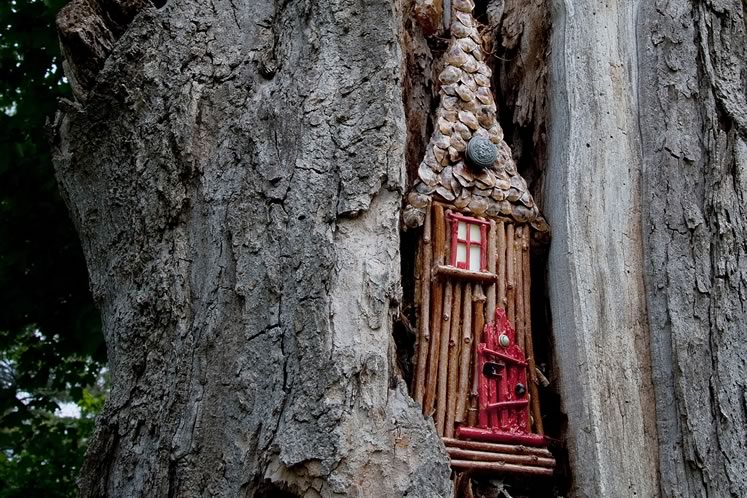 A tall stick house fits perfectly into the crevice of an aging tree on Humber Station Road. Photo by Rosemary Hasner / Black Dog Creative Arts.
