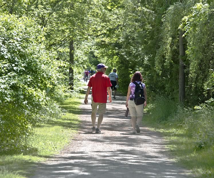 Our Hiking 101 guide to hiking in Caledon and Dufferin.