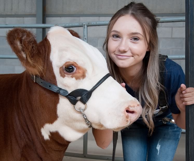 After a year of training in the Dufferin 4-H Beef Club, Maggi Murray and Glam took first place at the Orangeville Fall Fair in 2019. Photo by Rosemary Hasner / Black Dog Creative Arts.